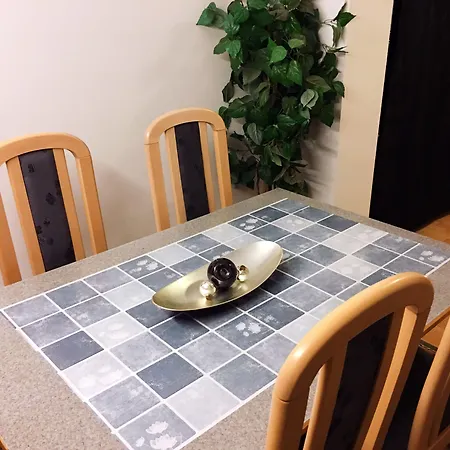 酒店 Padborg Hotel 2*